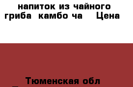 напиток из чайного гриба “камбо ча“ › Цена ­ 50 - Тюменская обл. Продукты и напитки » Безалкогольные напитки   